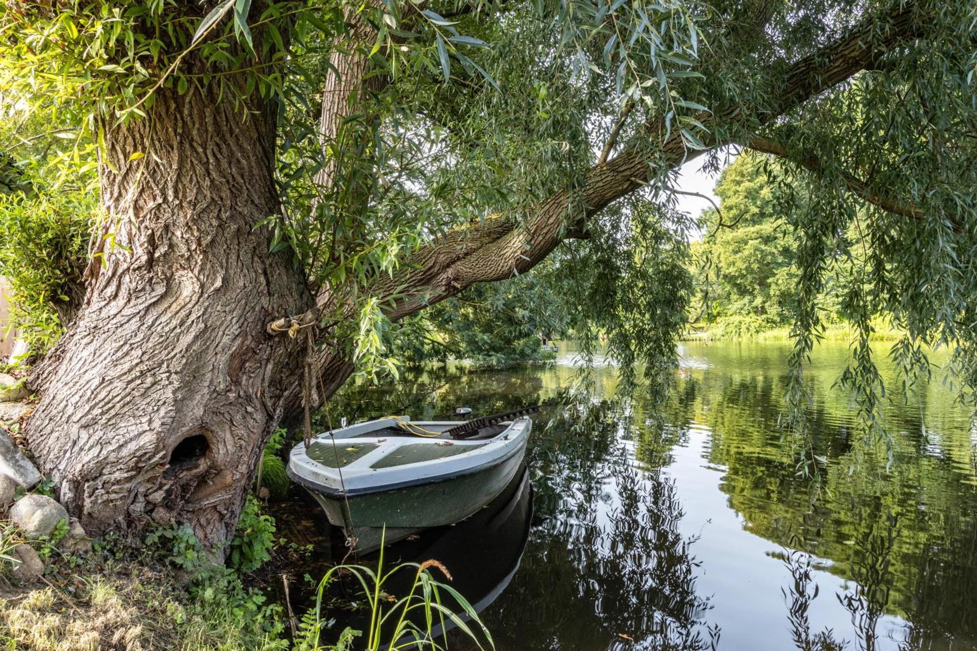 Ferienwohnung Am Parksee Bad Bodenteich Εξωτερικό φωτογραφία